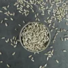 Bio napraforgómag termékfotó – Bionuss bio nassolnivaló (HU-ÖKO-01)